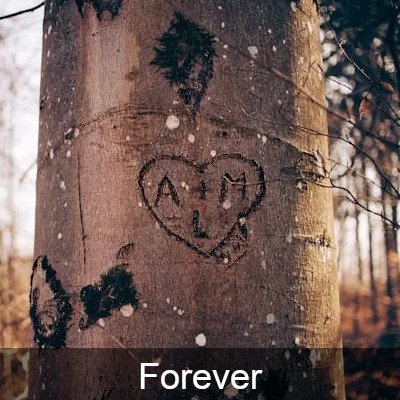 thumb-Forever2