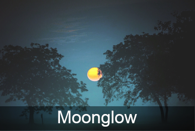 moonglow